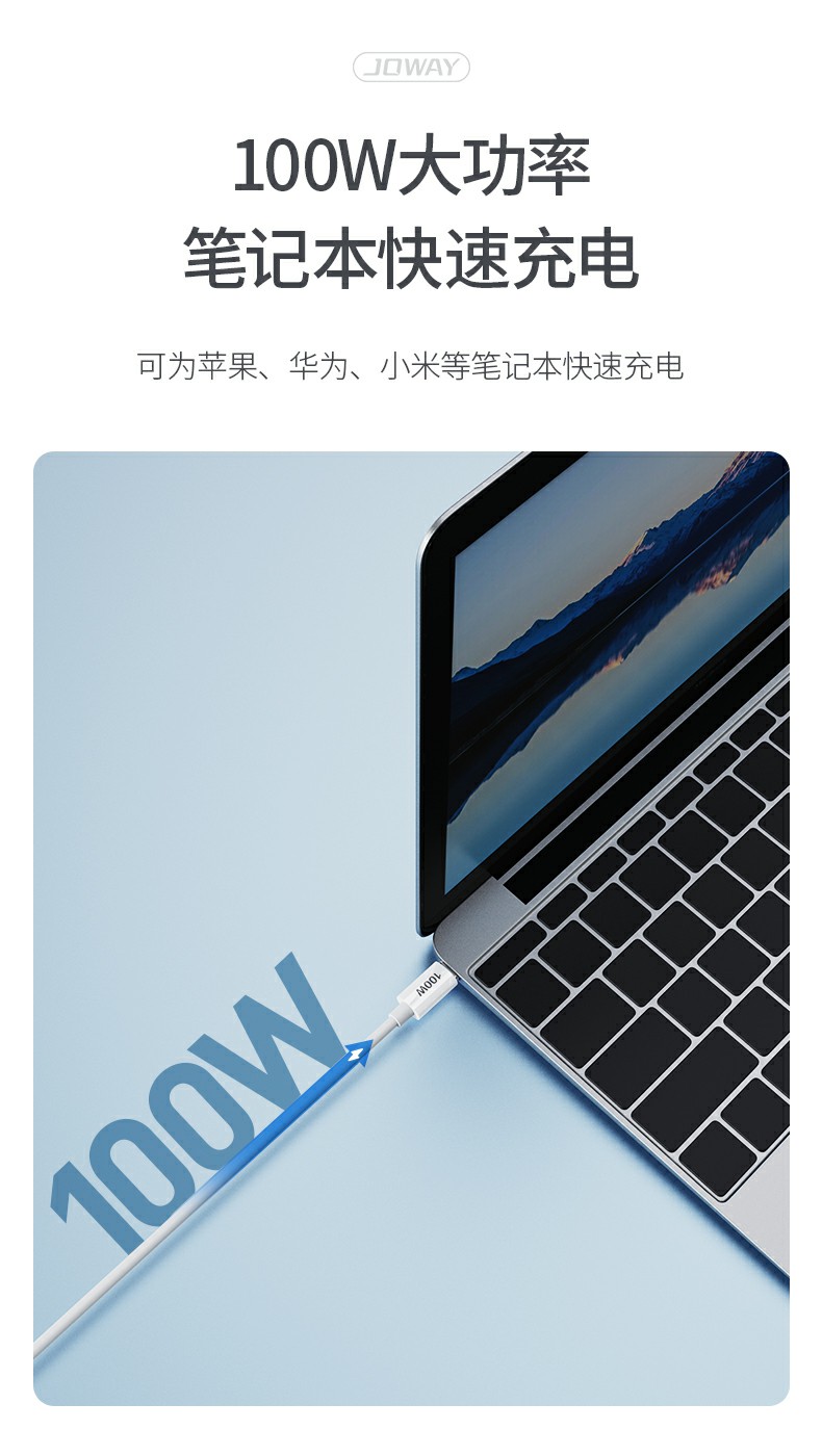 TC100 PD100W快充数据线_数据线_深圳市royal皇家88电源有限公司