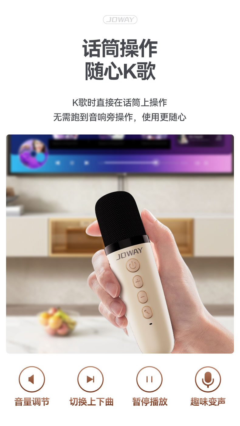 BM216 炫彩K歌蓝牙音箱套装_蓝牙音响_深圳市royal皇家88电源有限公司